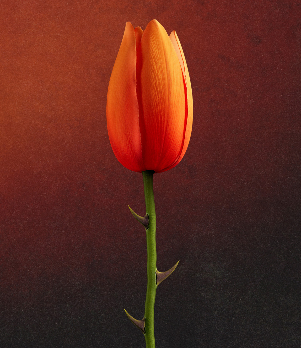 A tulip with thorns for a team that knows how to hurt	