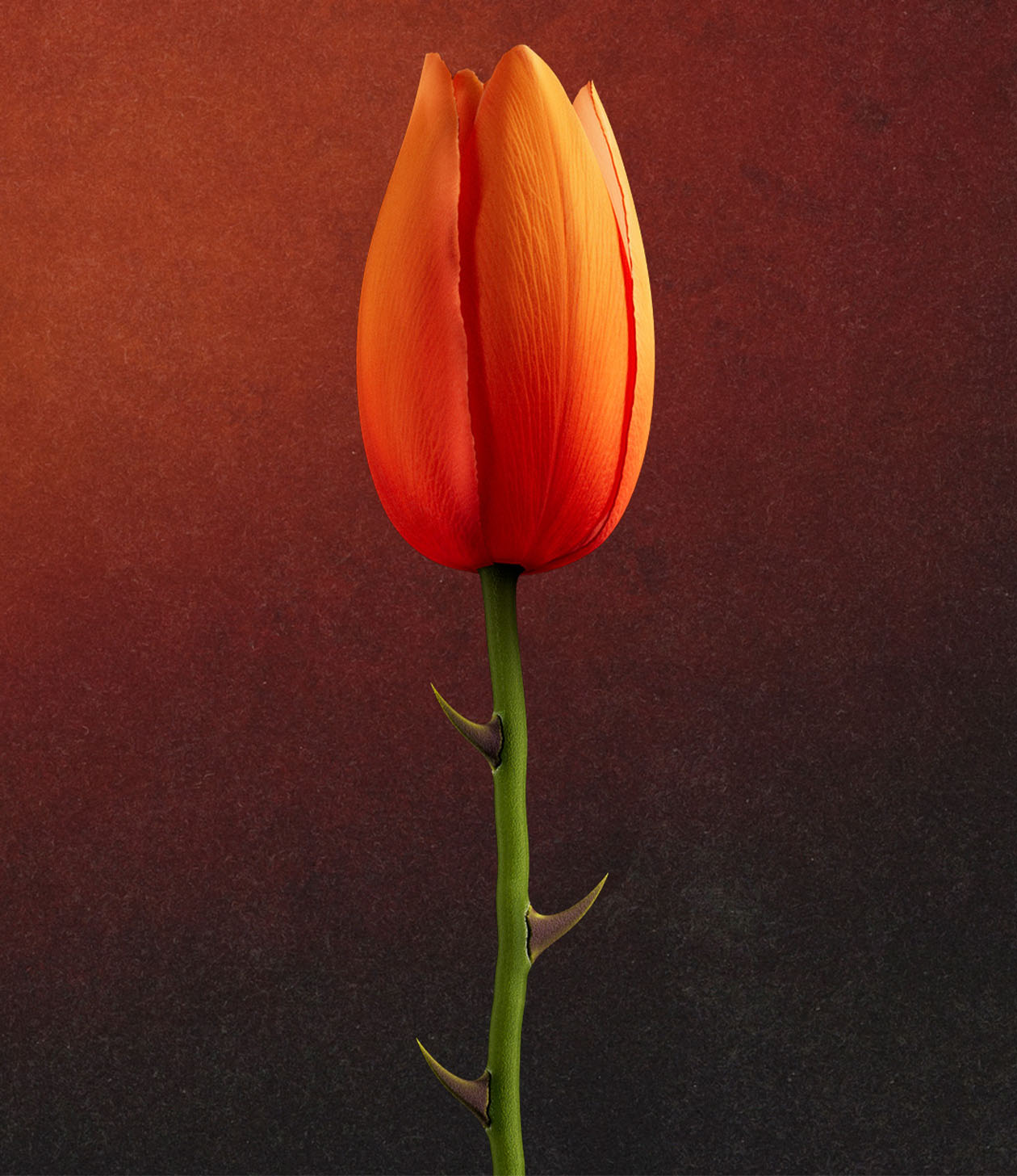 A tulip with thorns for a team that knows how to hurt	
