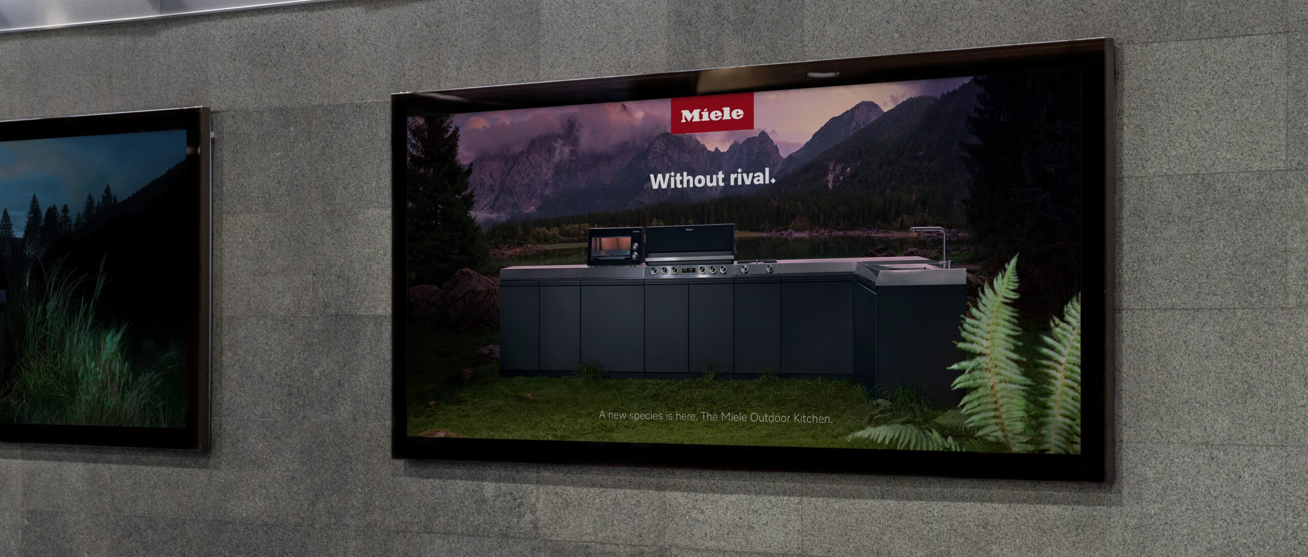 A New Species is Here