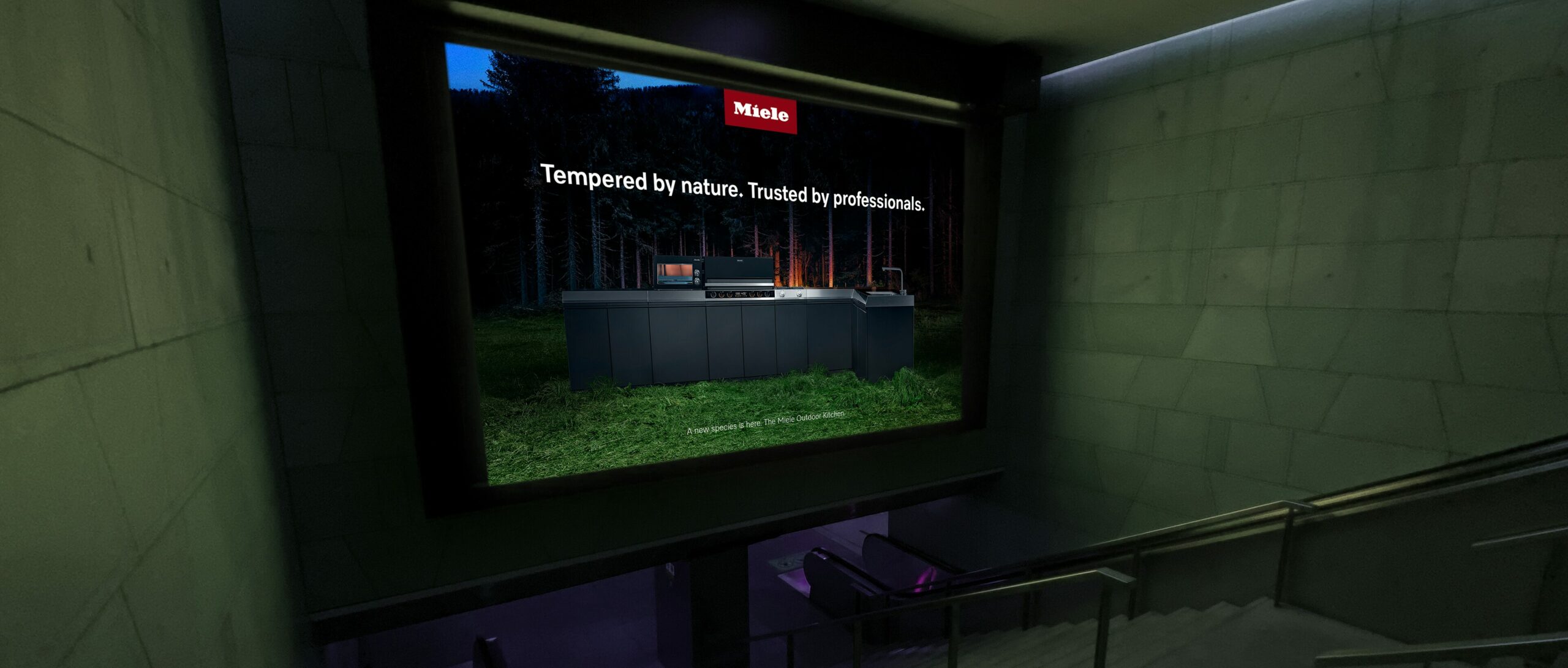 A New Species is Here